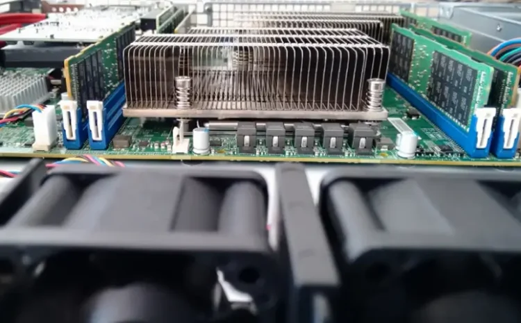 Intervencao-Trignosfera